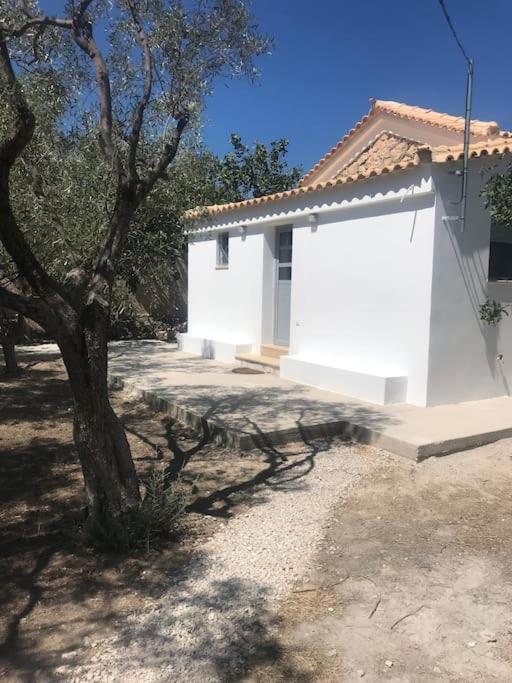 Πέτρινη Κατοικία Στην Αίγινα - Stone House In Aigina Khloi Exteriér fotografie